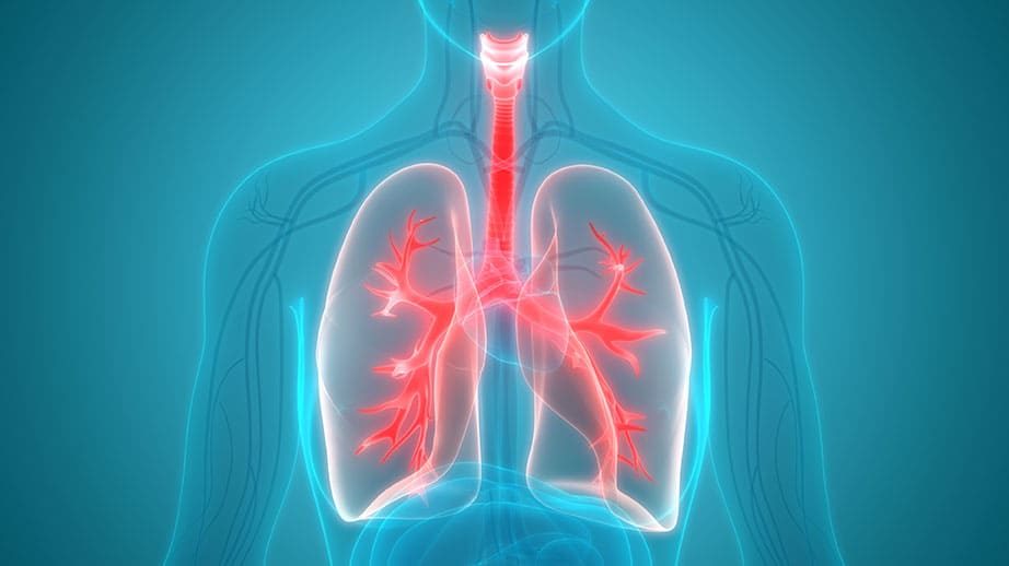 Lung and Chest disorders